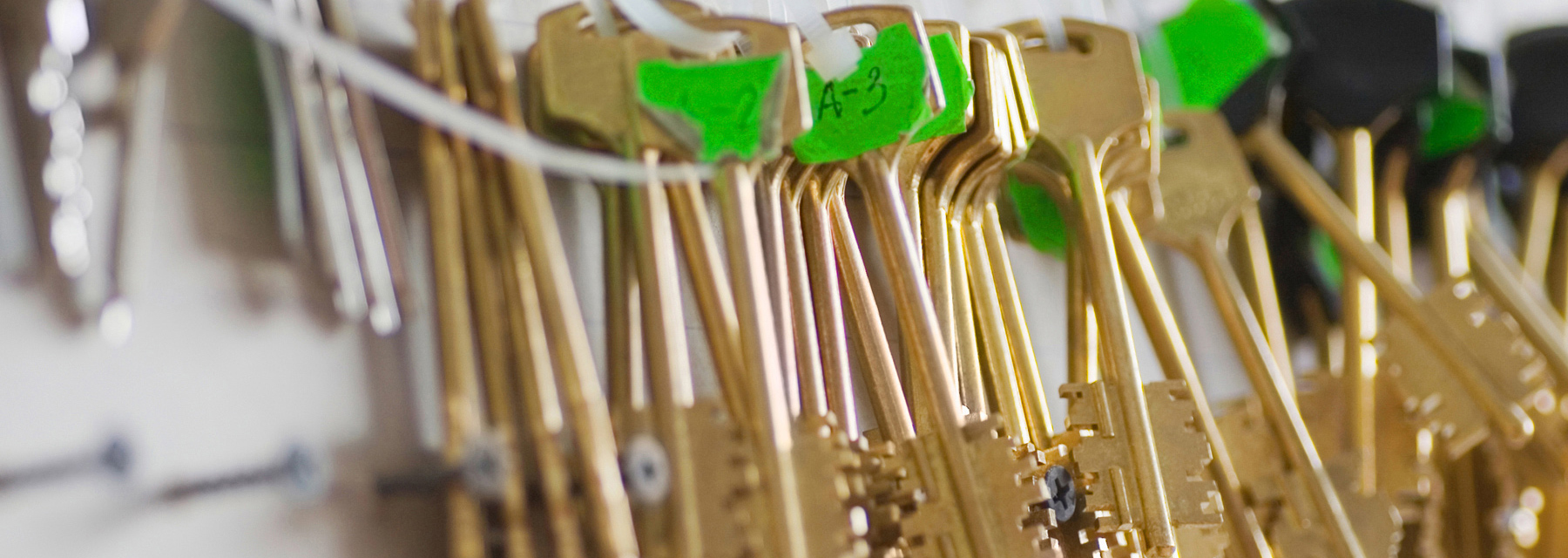 Real Estate Management
