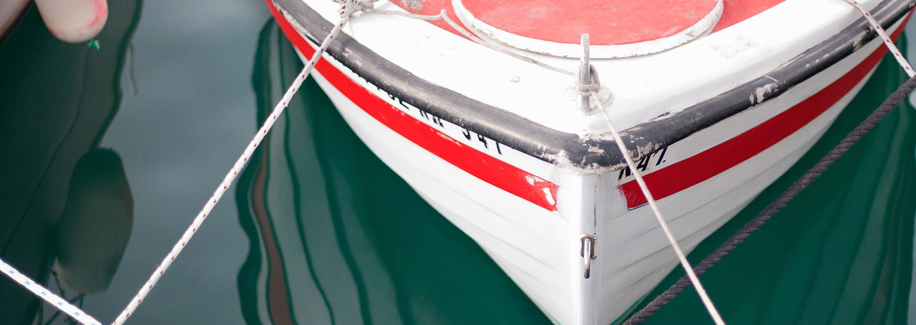 Insurance & Reinsurance
